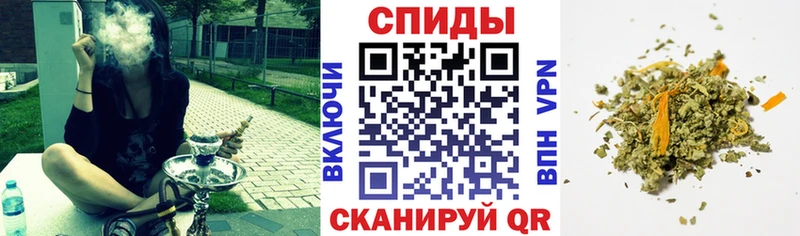 KRAKEN ссылка  Красный Сулин  Бутират BDO 