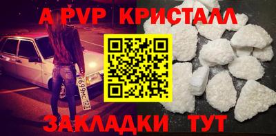 стафф Камышлов