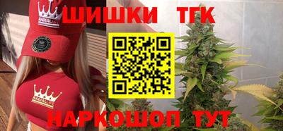 стафф Камышлов