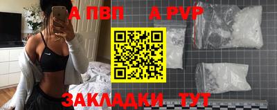стафф Камышлов
