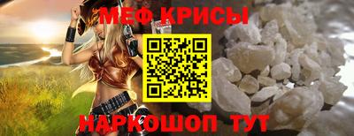 стафф Камышлов