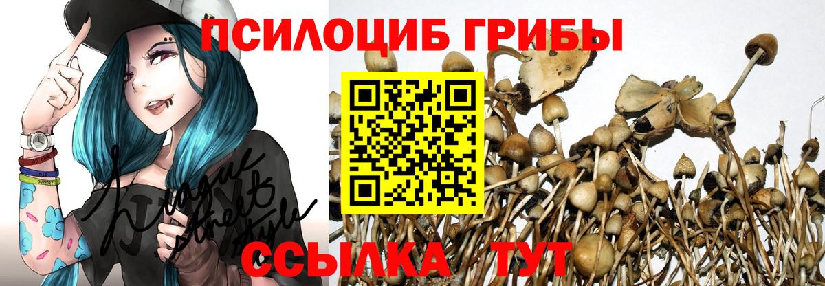 Красный Сулин  Псилоцибиновые грибы GOLDEN TEACHER  Вход с VPN 